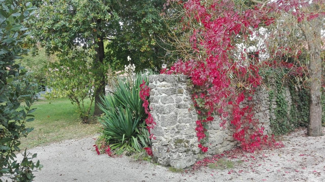 Soullans Au Logis De La Mongie Bed & Breakfast エクステリア 写真