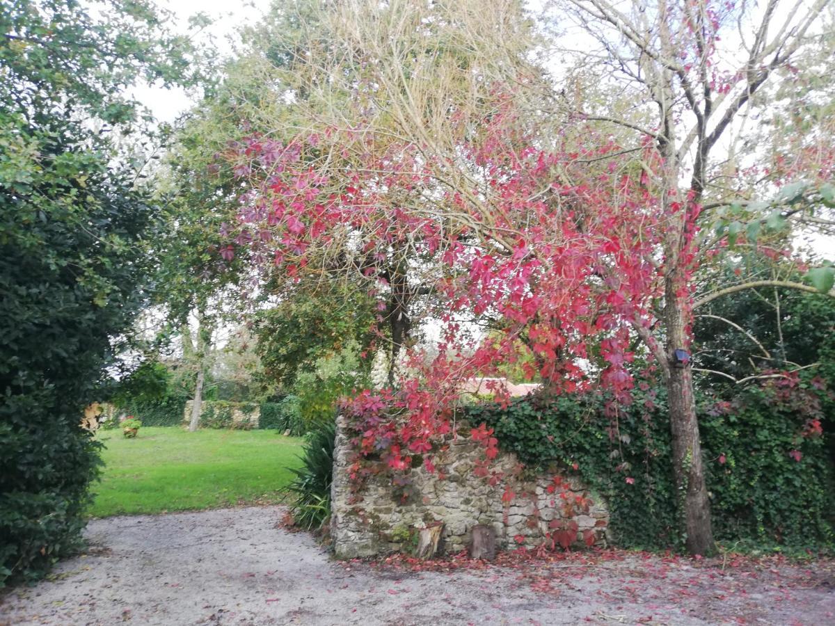Soullans Au Logis De La Mongie Bed & Breakfast エクステリア 写真